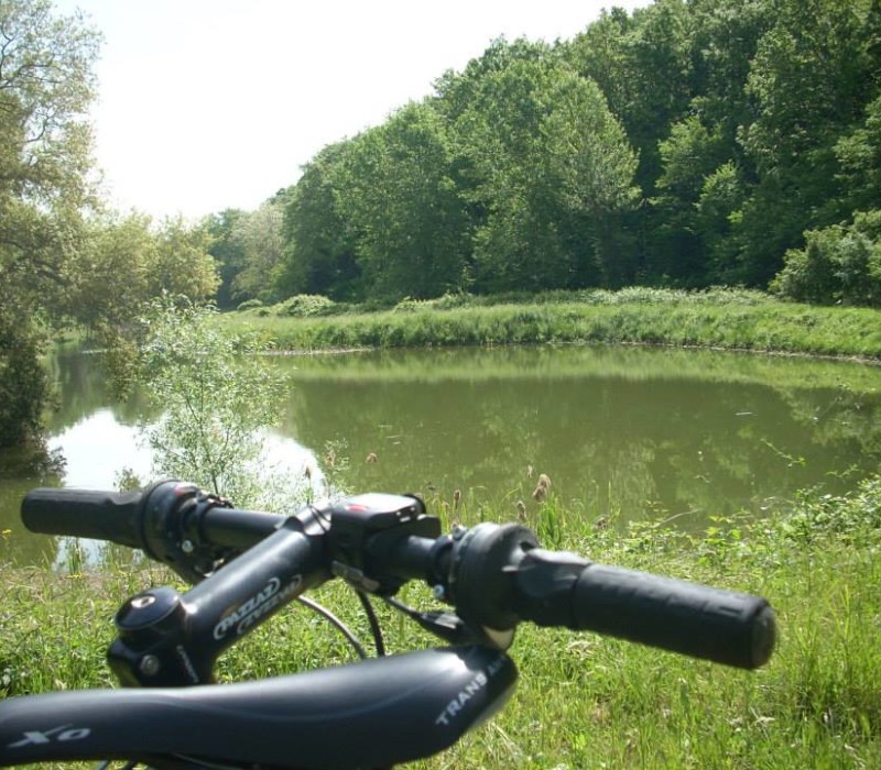 www.tuscanylovebike.it