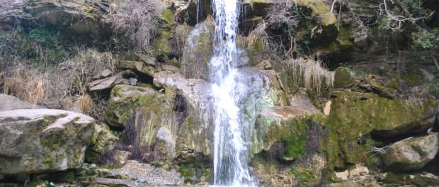 dsc_9934